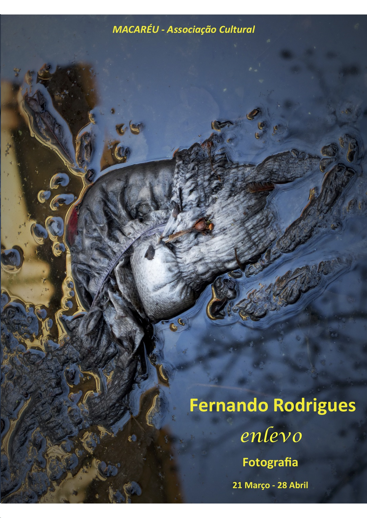 This image has an empty alt attribute; its file name is image-1.png