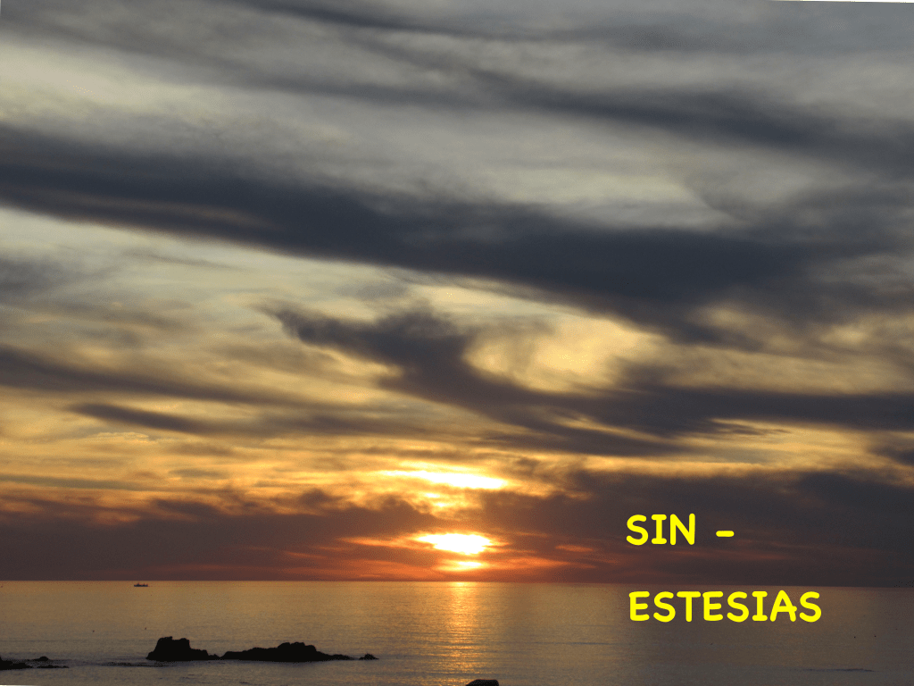 This image has an empty alt attribute; its file name is image.png